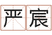 许严宸公司起名程序-免费算命起名网