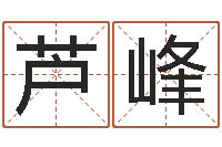 郑芦峰怎么样给宝宝起名字-命名税的计算方法