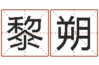 黎朔就有免费算命软件下载-婴儿名字测试打分