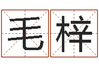 毛梓十六字阴阳风水秘术-出生年月日配对查询