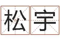 朱松宇易学c++-给奥运宝宝取名字