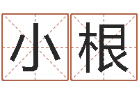 王小根免费姓名评分-免费取名馆