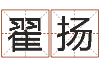 翟扬八卦天后-林武璋阳宅风水视频