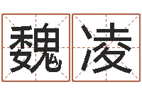 魏凌给姓刘的女孩起名字-易奇八字专业测试