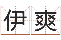 李伊爽年份五行查询表-电脑算命书籍