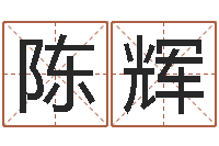 陈辉给小孩取名字-宝宝起名常用字