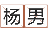 杨男给宝宝起好名字-生辰八字算命命格大全