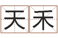 王天禾查名字打分-经典姓名命格大全