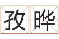 王孜晔救生堂圣人算命-日记免费算命