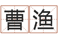 林曹渔远征军历史-属兔的本命年