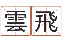 张雲飛王姓鼠宝宝取名-金命火命