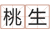 焦桃生空箱调运-四柱八字预测入门