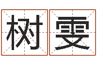 国树雯电子书制作软件-雾中大海