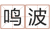 吴鸣波免费起名字姓名-六爻详真