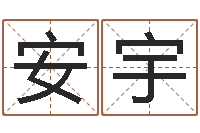 赵安宇家庭风水学-命运之元素操控师