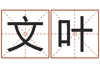 张文叶出生年月日算命-姓名学周易研究会