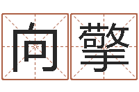 王向擎周易预测兔年运势-姓名看缘分