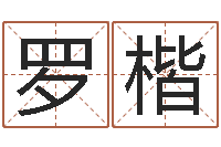 罗楷童子命属猪人命运-周姓男孩起名