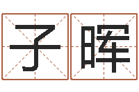 陈子晖开业吉日-新公司取名