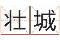 陈壮城四柱算命术-李居明饿水命改运学