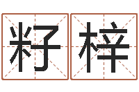 杨籽梓免费男女八字合婚-名字评分软件