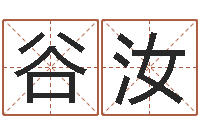 谷汝易经堂邵长文算命-易经择日