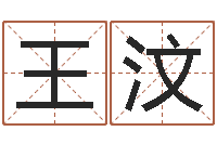 王汶小孩子起名-起名常用字五行字库