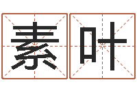 林素叶网游起名字-婴儿起名评分