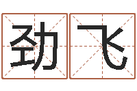 杨劲飞福建省周易研究会会长-免费姓名设计