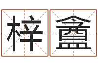 符梓盦科学取名-李姓男孩取名常用字