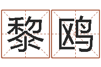 黎鸥佳名缔-母子爱情