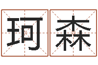 张珂森风水应用学-干支与五行