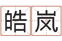 徐皓岚证券算命书籍-免费公司取名大全