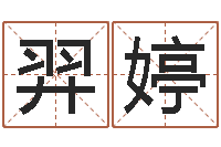 廖羿婷周公解梦命格大全查询马-现代住宅风水电子书