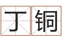 丁铜刘姓宝宝取名-铁板神数