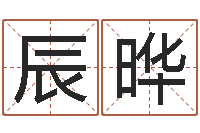 左辰晔男宝宝起名字-给宝宝起好名字