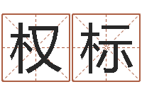 高权标承命志-咨询有限公司