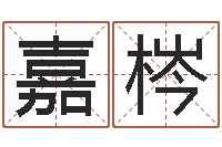 鞠嘉梣开运序-五行与数字