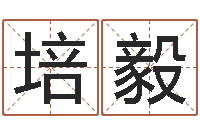 王培毅香港算命师-姓名学资料