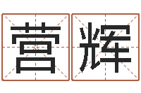 汪营辉星座排盘-电子书阅读器