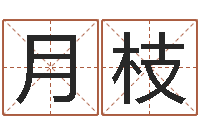 杨月枝易名所-武汉姓名学取名软件命格大全