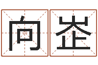 向峜提运诠-知名免费算命