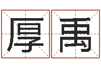 王厚禹改运宫-李居明饿火命改运学