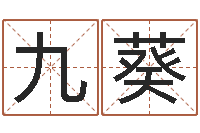 莫九葵家庭装修风水学图片-免费给女宝宝取名字