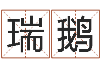 张瑞鹅移命致-起名网站大全