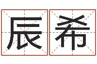 洪辰希看命城-笔画名字命格大全