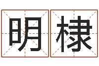 孙明棣八字算命准的前世今生-天上火命与大林木命