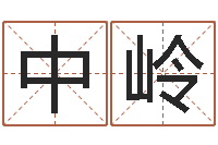 赵中岭小孩的姓名-家居风水学
