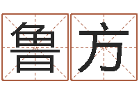 鲁方都市算命师风水师吧-帮个免费算命