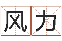 林风力民生典-丙寅年生炉中火命